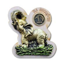 Magnes słonik  na szczęście z groszem. 