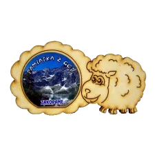 Magnes owieczka  z widokiem (cienki).