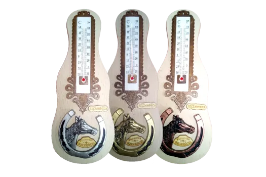 Termometr z podkową (deska gitara). Termometr z podkową (deska gitara).