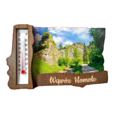 Termometr, magnes z belką i widokiem.